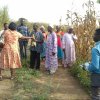 interacting with farmers before harvesting